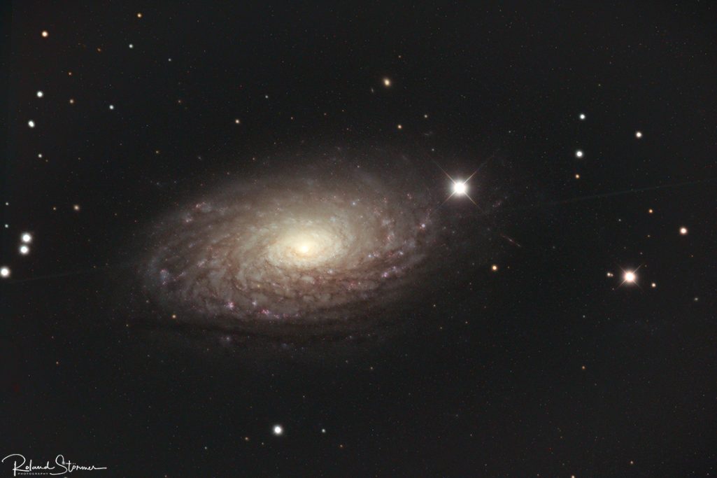 M63 - Sonnenblumen Galaxie