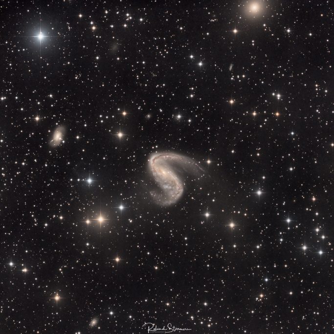 NGC 2442